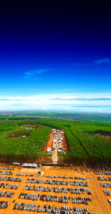 Divulgação Expoforest Divulgação Expoforest