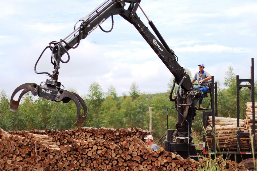 Guindaste Florestal 1024x683 - Força e eficiência na movimentação de madeiras